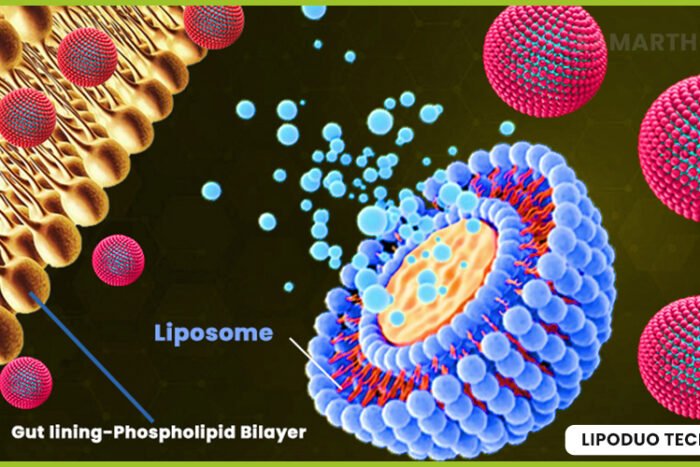 LipoDuo-Technology